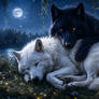 Wolf Mates