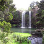 Whangarei Falls New Zealand 02