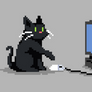 Hackcat