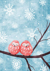 Owls In Snow