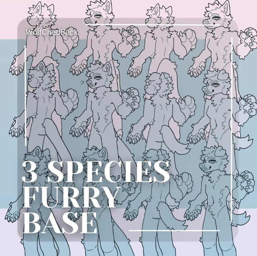 Furry Types Base 3 species furry base by SOMNOLER on DeviantArt