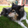 Tess 4