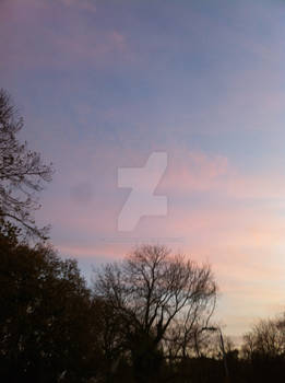 Sunset 5