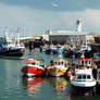 Fishing - harbour life