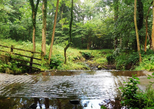 Wood, stream, road