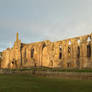 Rural architecture - Bolton Priory, Yorkshire