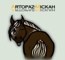 C: Artopaz-Mickah ID