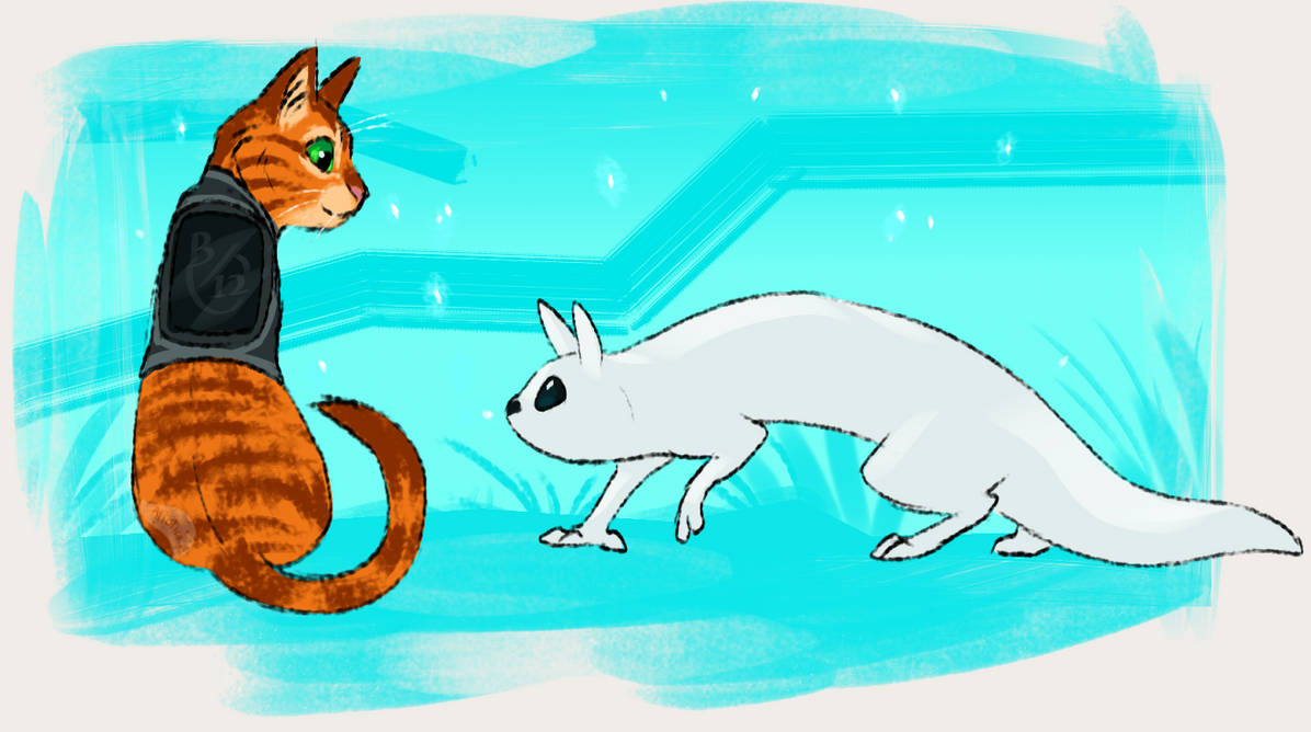 Stray Cat Meets Slugcat by Artistica-us on DeviantArt