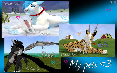 My pets (IW)