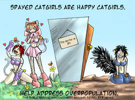 Proper care of catgirls...