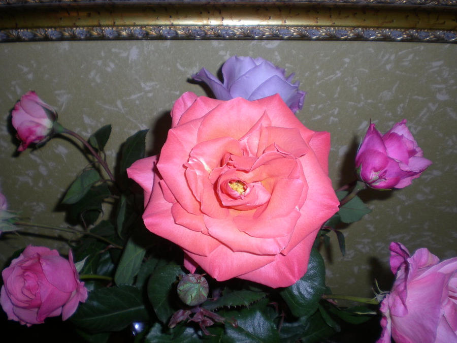 Pink Roses Creations Pink roses by MacraMarthe on DeviantArt