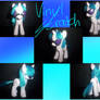 Vinyl Scratch Custom