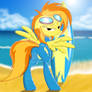 Spitfire wants you.....to surf her turf!