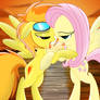 Spitfire and Fluttershy.........kissing :3