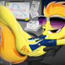 Spitfire........working hard at her paper work