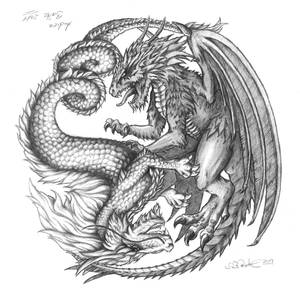 Yin-Yang Dragons