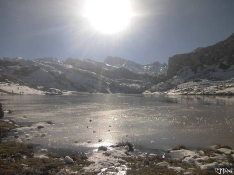 Frozen Lake!