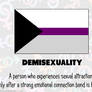 RAINBOW FLAGS: Demisexual