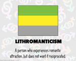 RAINBOW FLAGS: Lithromantic