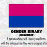 RAINBOW FLAGS: Gender Binary (Cisgender)