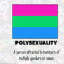 RAINBOW FLAGS: Polysexual