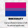 RAINBOW FLAGS: Bisexual