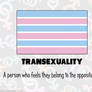 RAINBOW FLAGS: Transexual