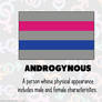RAINBOW FLAGS: Androgynous