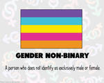RAINBOW FLAGS: Gender Non-Binary