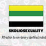 RAINBOW FLAGS: Skoliosexual