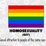RAINBOW FLAGS: Homosexuality / Gay Pride Flag