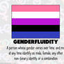 RAINBOW FLAGS: Gender Fluid
