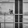 in the rectangles