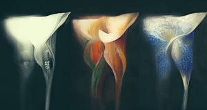 triptych 14 - bond