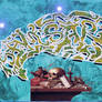 SAMSARA-Harmen_Steenwijck