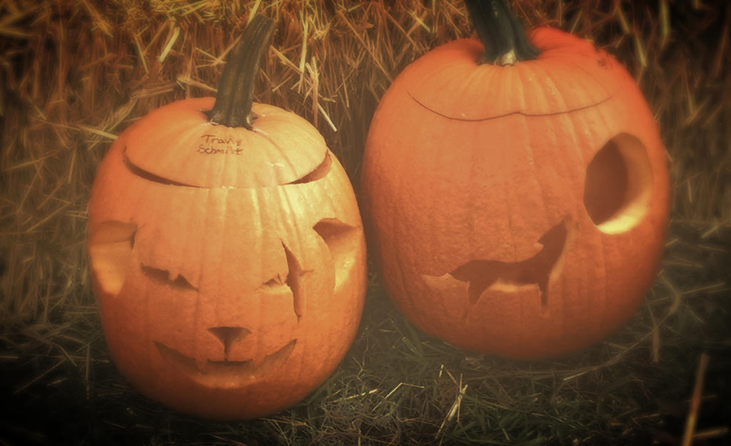Wolves Pumpkins Werewolf and Wolf Pumpkins! (Hand Drawn and Carved by LucytheWolf12 on ...