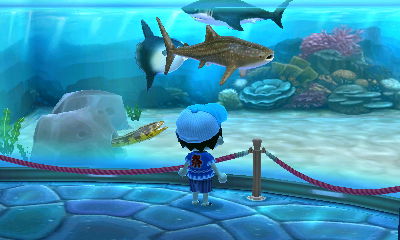 ACNL - Me as a boy watch the sharks in Aquarium