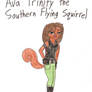 TCB - Ava Trinity the Southern Flying Squirrel
