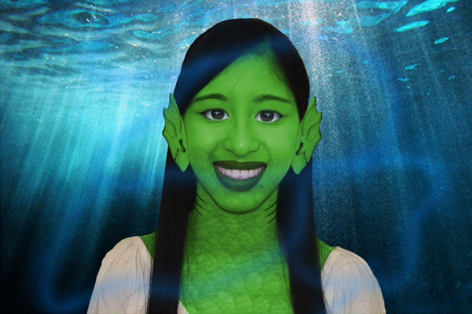 Graphic Design 1 Project: Mugshot of me as Gillina