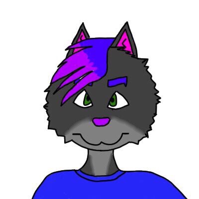 Speed draw  Furry Português Amino