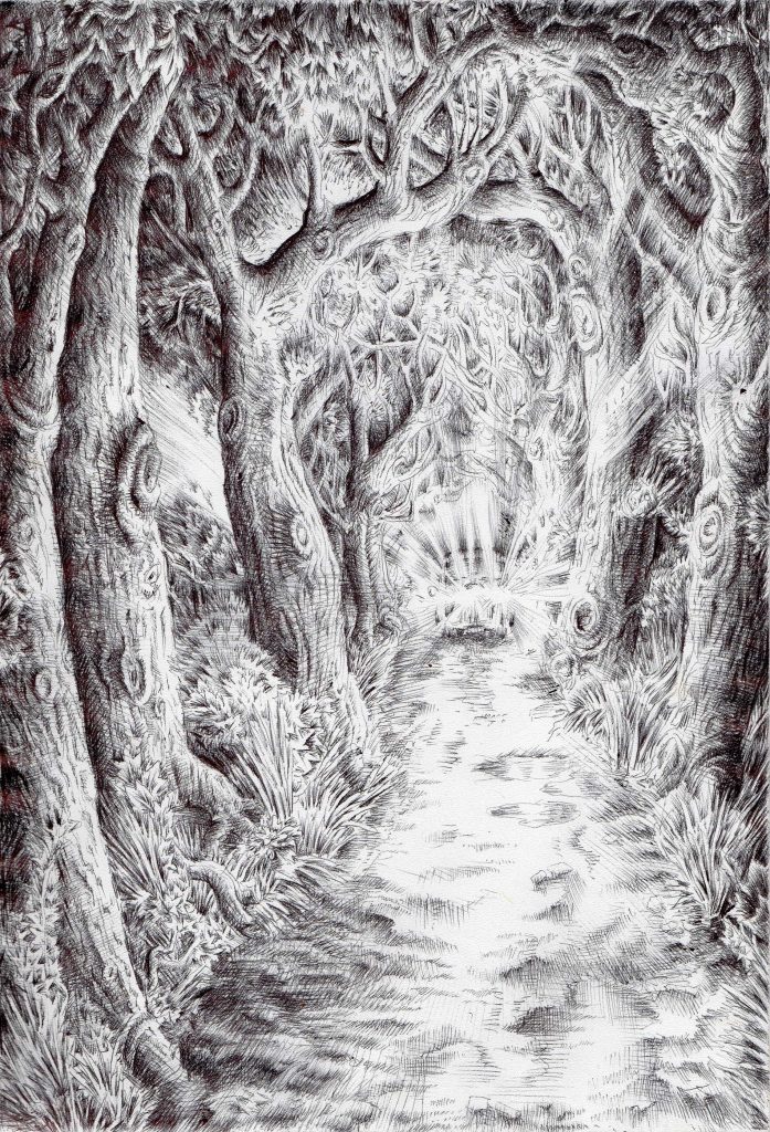 The drive through Renshaw Forest by Black--Mountain