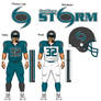 San Diego Storm, fantasy football team