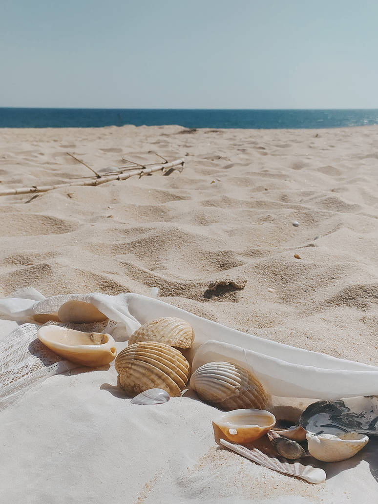 shells by SoulofHerKarma on DeviantArt