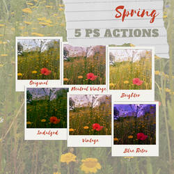 Spring PS Action by soulofherkarma