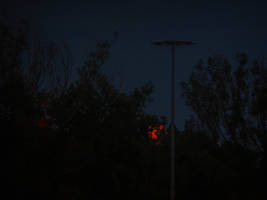 bloody moon on the go