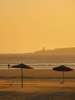 golden hour on the beach 11