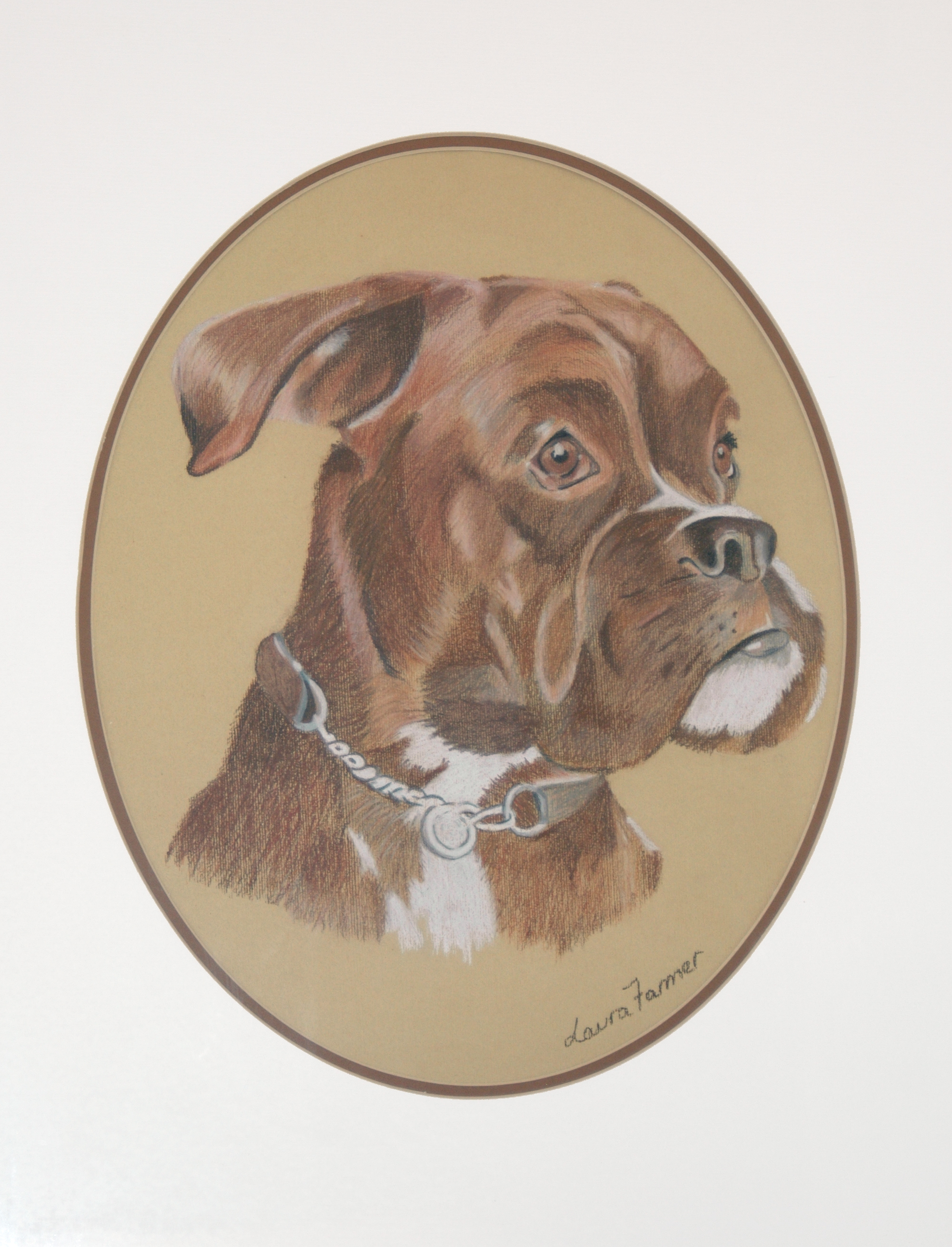 Boxer drawing - pastel pencil