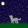 Starclan Cat