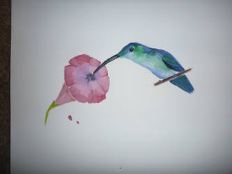 2007.01.01 - Hummingbird