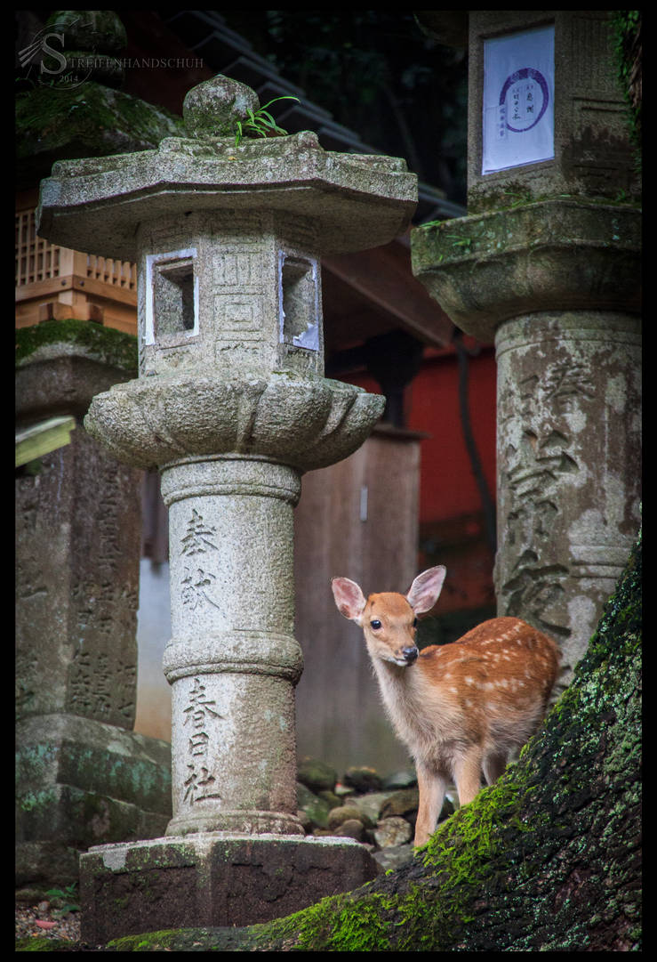 Nara I